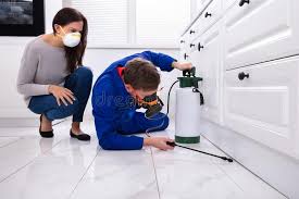 Best Pest Prevention Services  in Mission Bend, TX